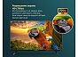 Телевизор MAUNFELD MLT32HSD02