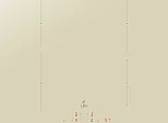 Варочная поверхность индукционная LEX EVI 640A I IV