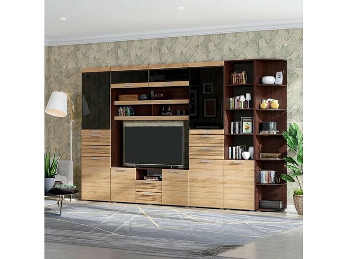 Гостиная Асти Вариант №4 (Дуб сонома, венге)