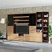 Гостиная Асти Вариант №4 (Дуб сонома, венге)