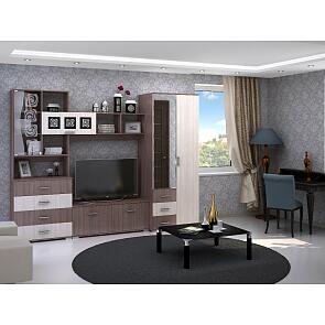 Гостиная Рошель-05 Ясень шимо темный/светлый