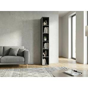 Норд Пенал открытый (300) (Графит)