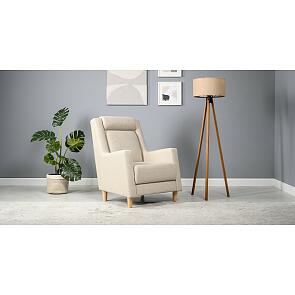 Кресло для отдыха Дилан ТК 460