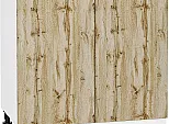 Шкаф нижний с 2-мя дверцами Флэт Wotan Oak 2S/Белый 816*800*478