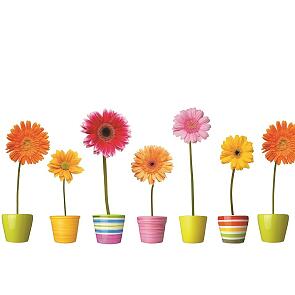 Фартук для кухни "Герберы" 600*3000*1,5