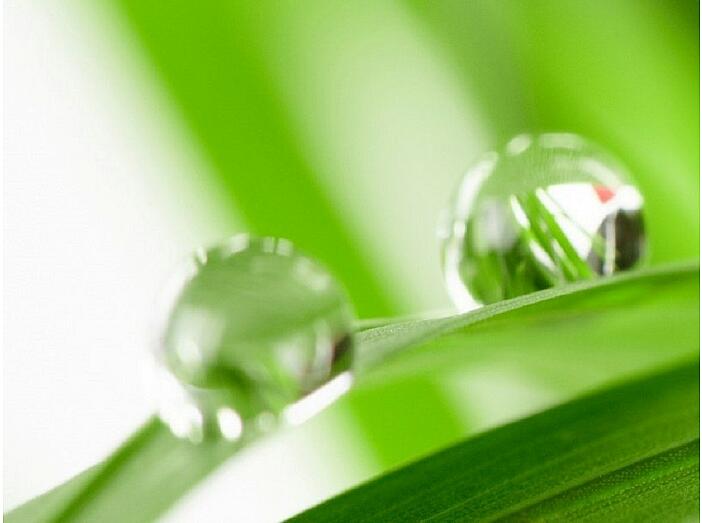 Фартук для кухни "Капли росы" 610*2440*3