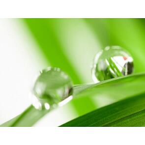 Фартук для кухни "Капли росы" 610*2440*3