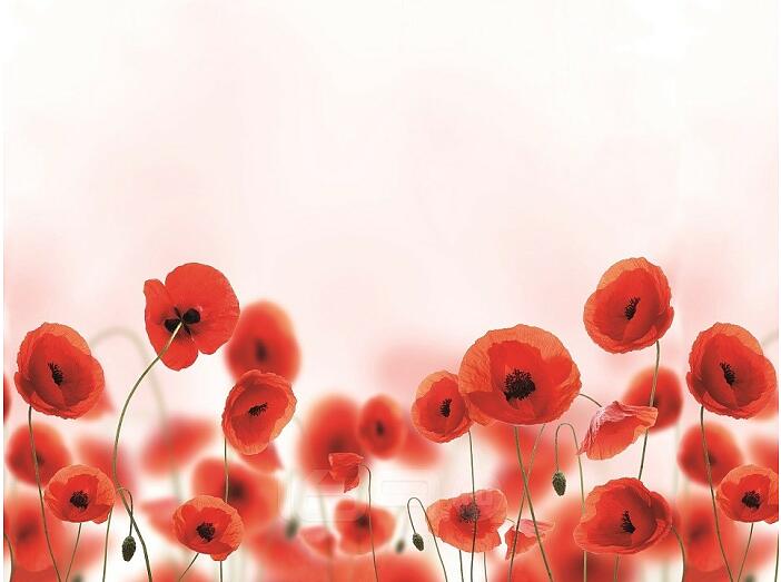 Фартук для кухни "Маки" 600*3000*1,5