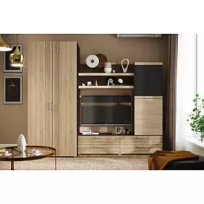 Асти м/с ШК-001 исп.№1 (Дуб сонома, венге)