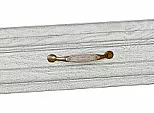 ФЯ Шале White Dreamline 10.60