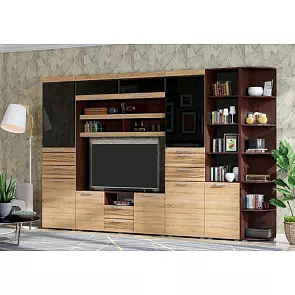 Гостиная Асти Вариант №4 (Дуб сонома, венге)