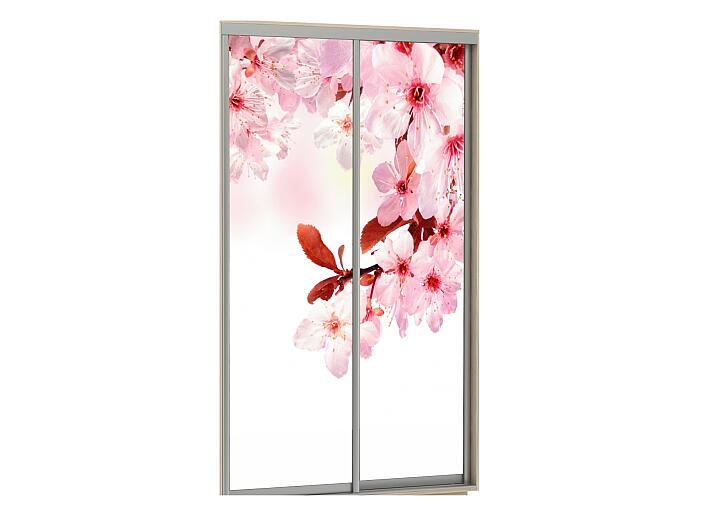 Комплект из 2 дверей Фото 2-120 Сакура  для шкафа Н240