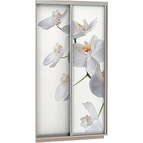 Комплект из 2 дверей Фото 2-160 Белая орхидея  для шкафа Н240