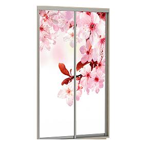 Комплект из 2 дверей Фото 2-160 Сакура  для шкафа Н240