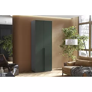 Норд Шкаф 2-х ств.(800) (Изумрудный (КРОМКА ГРАФИТ), Графит)