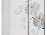 Шкаф Экспресс 2х-дверный Дуо ЛДСП Белый снег/Белая орхидея 1200x2200x600