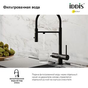 Смеситель для кухни с фильтром и гибким изливом, черный матовый, Ace, IDDIS, ACEBLFFi05