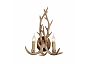 Бра ST LUCE SL153.701.02