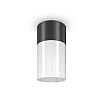 tumb 2 - Потолочный светильник Outdoor O418CL-01B стиля классический