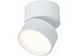 Светильник потолочный поворотный ST LUCE ST651.532.09