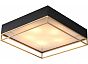 Светильник потолочный ST LUCE SL1127.422.05