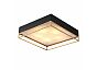 Светильник потолочный ST LUCE SL1127.422.05