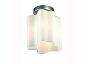 Светильник потолочный ST LUCE SL116.502.01