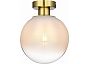 Светильник потолочный ST LUCE SL1190.202.01