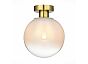 Светильник потолочный ST LUCE SL1190.202.01