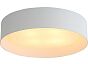Светильник потолочный ST LUCE SL392.502.04