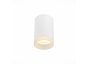 Светильник потолочный ST LUCE ST100.502.01