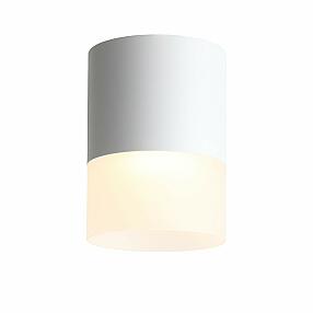 Светильник потолочный ST LUCE ST100.542.15