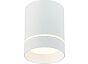 Светильник потолочный ST LUCE ST115.532.12