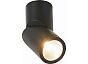 Светильник потолочный ST LUCE ST650.442.10