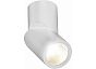 Светильник потолочный ST LUCE ST650.542.10