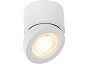 Светильник потолочный ST LUCE ST654.542.10