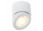 Светильник потолочный ST LUCE ST654.542.10