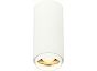 Светильник потолочный ZOOM ST LUCE ST600.532.10