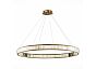 Люстра подвесная ST LUCE SL1622.313.01