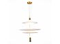 Люстра подвесная ST LUCE SL6101.223.01