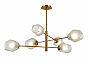 Люстра потолочная EVOLUCESLE205202-06