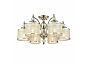 Люстра потолочная ST LUCE SL1750.102.06