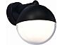 Светильник уличный настенный ST LUCE SL9000.401.01