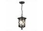 Светильник уличный подвесной ST LUCE SL085.403.01