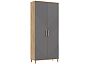 Ирис Прихожая Шкаф (Браш Графит, Дуб Крафт)