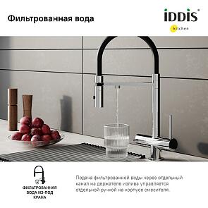 Смеситель для кухни с фильтром и гибким изливом, хром, Ace, IDDIS, ACESBFFi05