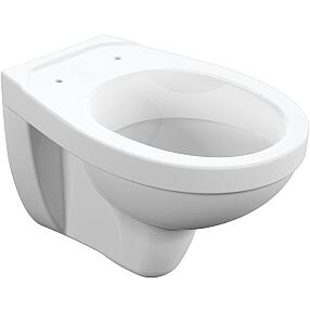 Подвесной унитаз DELFI TPL