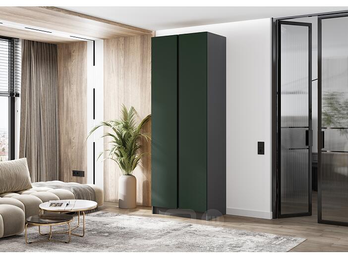 Келвин Шкаф 2-х ств. (800) (Изумрудный, Графит)