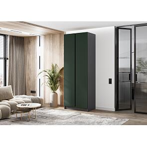 Келвин Шкаф 2-х ств. (800) (Изумрудный, Графит)