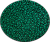Блюдо декоративное перламутровое "Малахитовые кольца" Д550 Ш550 В60, зеленый, черный